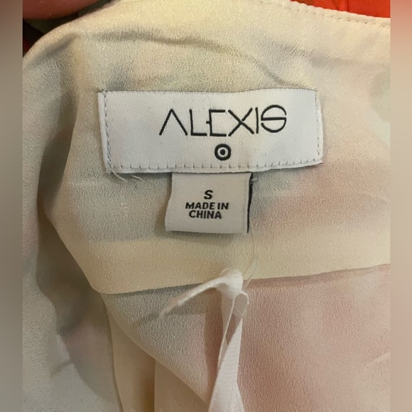 Alexis For Target Groovy Floral Print Maxi Dress - Picture 3 of 6